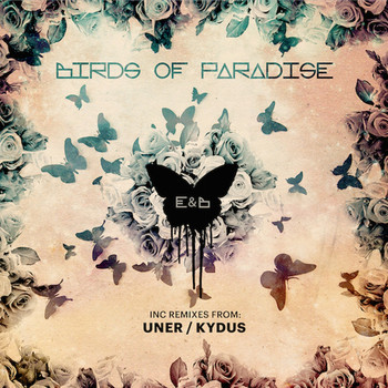 Eagles & Butterflies - Birds of Paradise