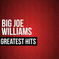 Big Joe Williams - Big Joe Williams Greatest Hits