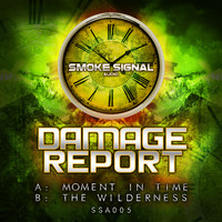 Damage Report - Moment In Time / The Wilderness