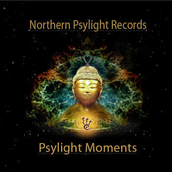 Various Artists - Psylight Moments