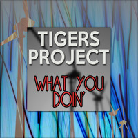 Tigers Project - What You Doin'