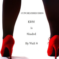 Wall S - EDM Is Shaded