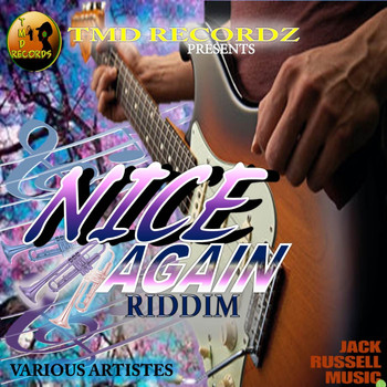 Various Artists - Nice Again Riddim