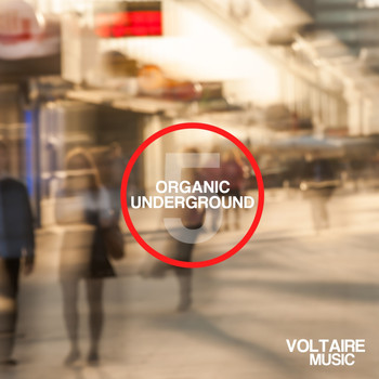 Various Artists - Organic Underground Issue 5