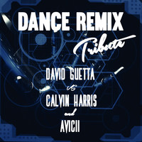 DJ Summerboy - Dance Remix (Tribute to: David Guetta, Calvin Harris, Avicii)