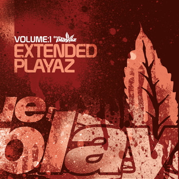 Various Artists - Extended Playaz Vol 1