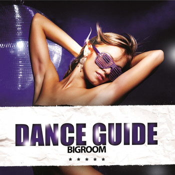 Various Artists - Dance Guide Bigroom