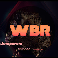 Juniperum - Oblivion (Original Mix)