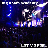 Big Room Academy - Let Me Feel