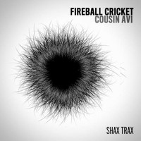 Fireball Cricket - Cousin Avi