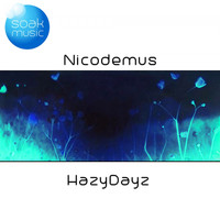 Nicodemus - HazyDayz