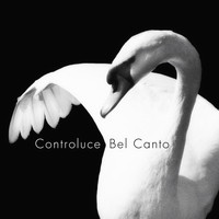 Controluce - Bel Canto