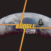 Bungle - Down to Earth