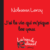 Nolwenn Leroy - J'ai la vie qui m'pique les yeux (La bande à Renaud, volume 2)