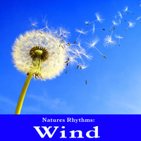 Wildlife Bill - Natures Rhythms: Wind