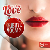Tribute Vocals - Turn It Into Love