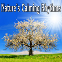 Wildlife Bill - Natures Calming Rhythms