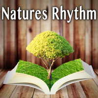 Wildlife Bill - Natures Rhythm
