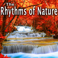Wildlife Bill - The Rhythms of Nature