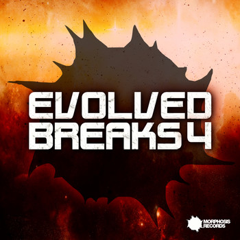 Various Artists - Evolved Breaks 4