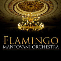 Mantovani Orchestra - Flamingo