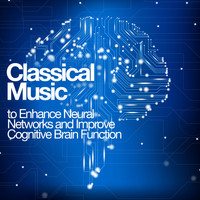 Franz Joseph Haydn - Classical Music to Enhance Neural Networks and Improve Cognitive Brain Function