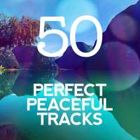 Erik Satie - 50 Perfect Peaceful Tracks