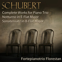 Fortepianotrio Florestan - Schubert: Complete Works for Piano Trio