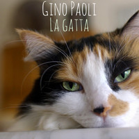 Gino Paoli - La gatta