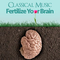 Gabriel Faure - Classical Music - Fertilize for Your Brain