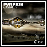 Pumpkin - Gaviales