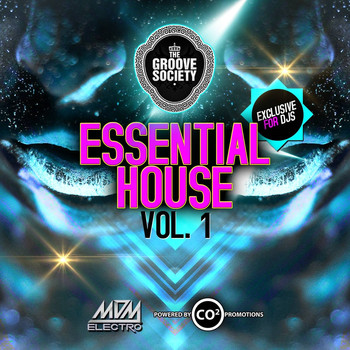 Various Artists - Essential House, Vol.1