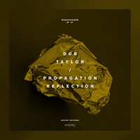 Dub Taylor - Propagation Reflection