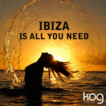 Various Artists - Ibiza Is All You Need