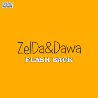 Zelda - Flash Back