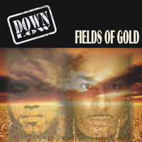 Down Low - Fields of Gold