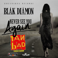 Blak Diamon - Never See You Again (Tan Bad Riddim) - Single