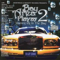 Various Artists - Bay Area Playas 2: Raining Ice in the Bay (Explicit)