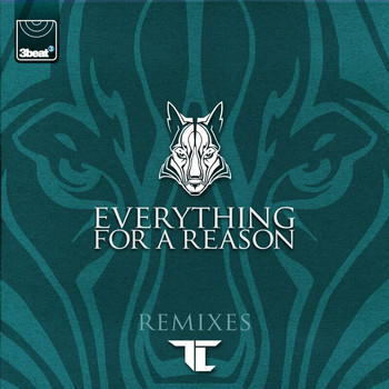 TC - Everything For A Reason (Remixes)