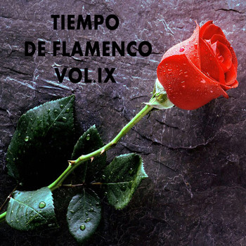 Various Artists - Tiempo de Flamenco Vol. IX