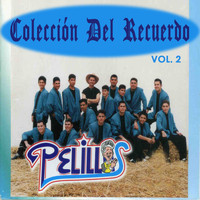Banda Pelillos - Colección del Recuerdo, Vol. 2