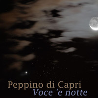 Peppino Di Capri - Voce 'e notte