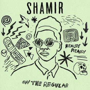 Shamir - On the Regular (Explicit)