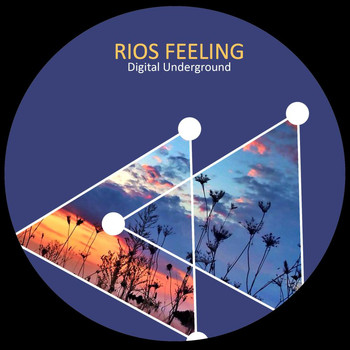 Digital Underground - Rios Feeling