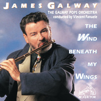 James Galway - The Wind Beneath My Wings