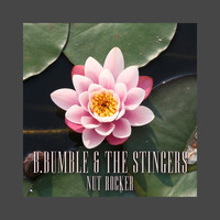 B.Bumble & The Stingers - Nut Rocker