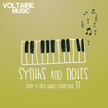 Various Artists - Synths and Notes 17