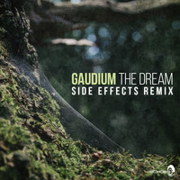 Gaudium - The Dream (Side Effects Remix)