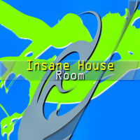 Insane House - Room