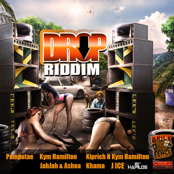 Various Artists - Drop Riddim